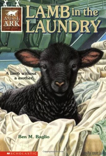 roundaboutbookstore1271749