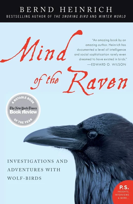 roundaboutbookstore1289948