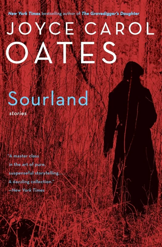roundaboutbookstore1337840