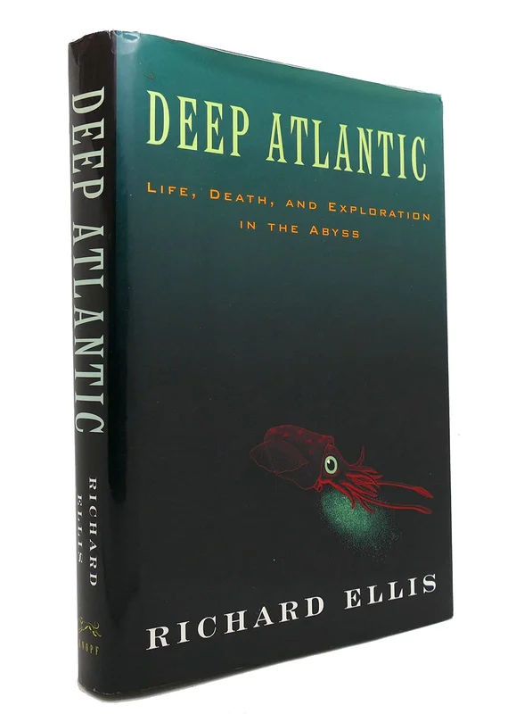 roundaboutbookstore1375079