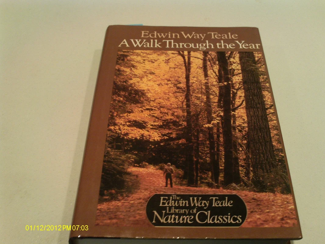 roundaboutbookstore1376177