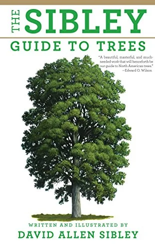 roundaboutbookstore936279