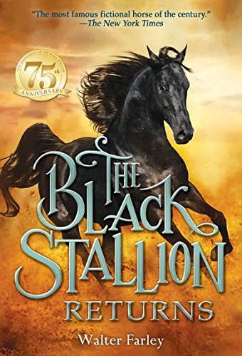 roundaboutbookstore951426