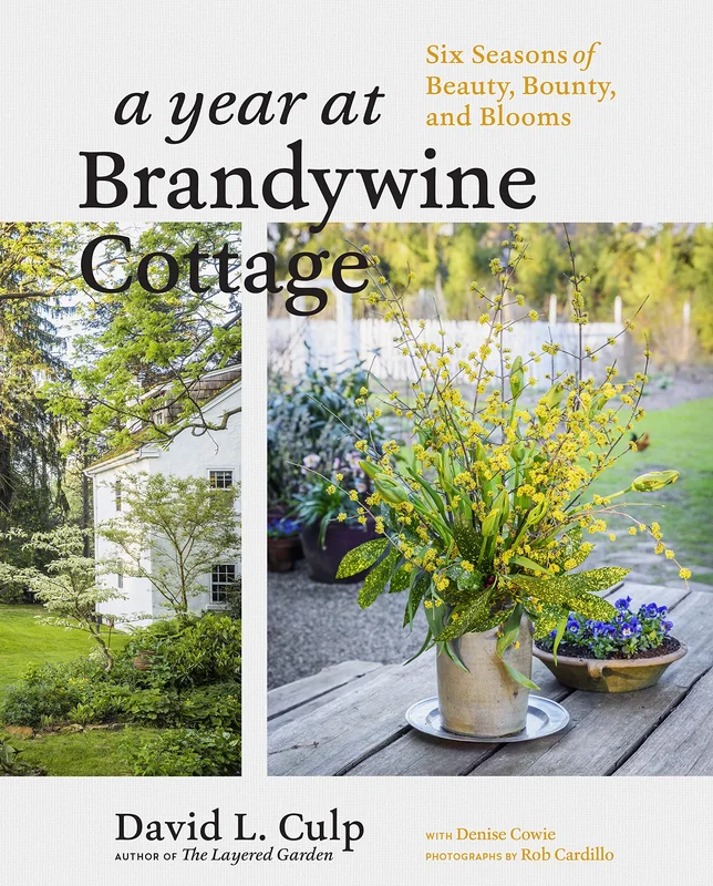 roundaboutbookstore995310