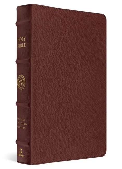 worldcaribbeanbooks-11230402