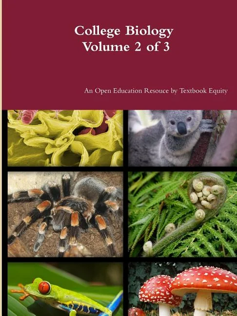 worldcaribbeanbooks923391